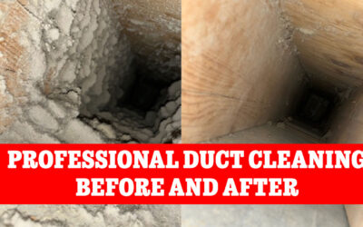 What is involved in a professional air duct cleaning?