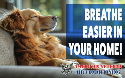 How to Improve Indoor Air Quality: Tips from American Veteran Air Conditioning in Spartanburg County